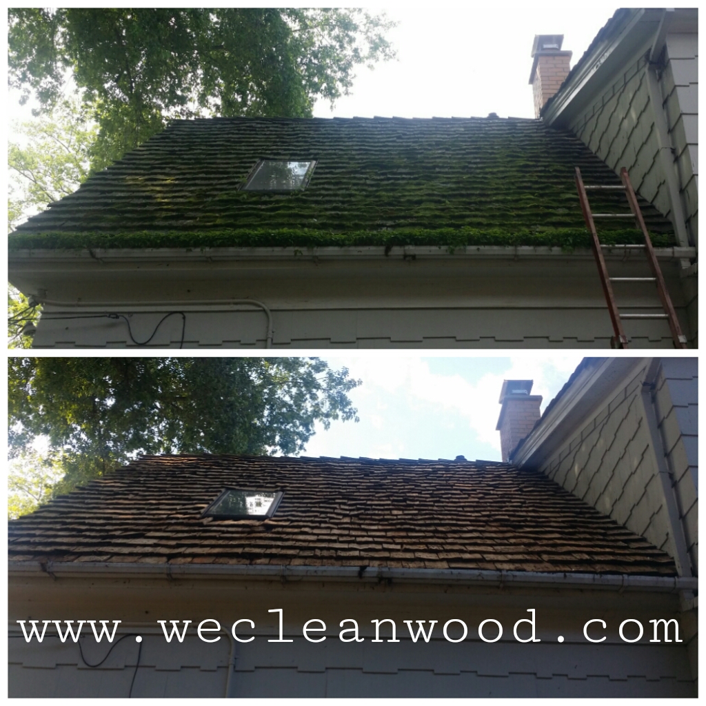 Cleaning moss off cedar roof