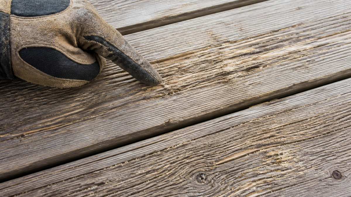Gloved hand pointing to gouges and raised grain on wood showing why pressure washing damages wood decks.